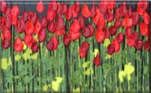 Jeff Hanson , philanthropic artist