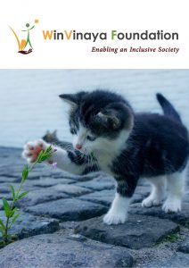 A kitten keenly observing a sapling and feeling it by gently touching it with its paw.